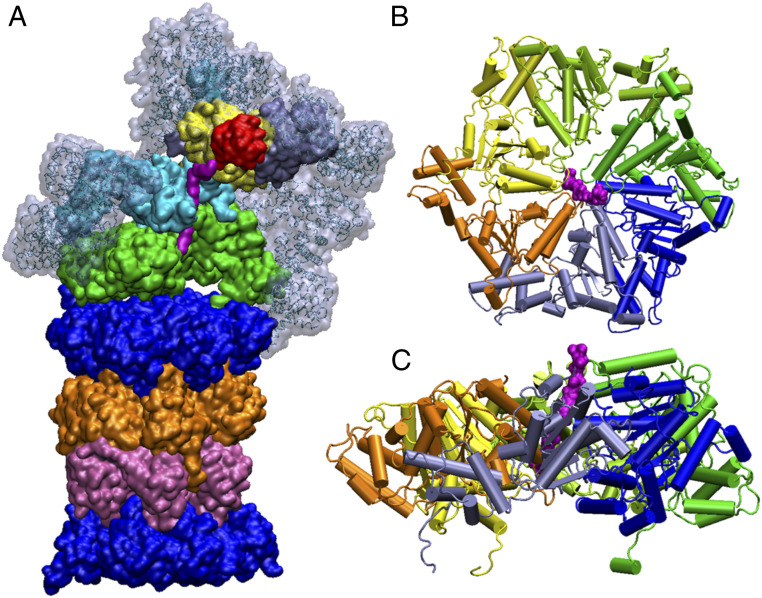 Fig. 1.