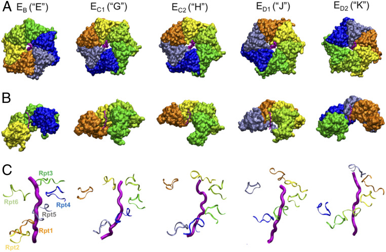 Fig. 3.