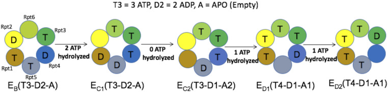 Fig. 4.