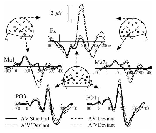 Fig. 1