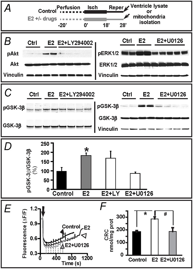 Fig 7