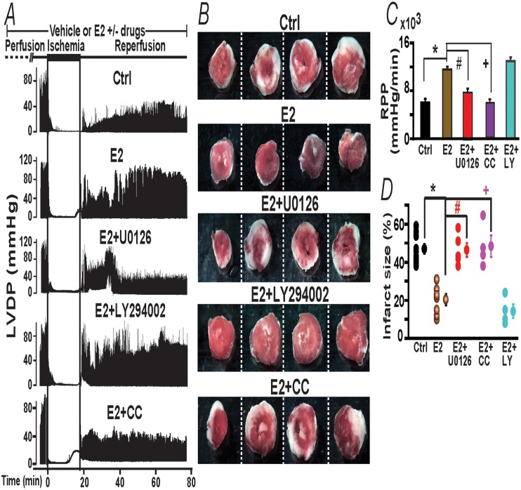 Fig 8