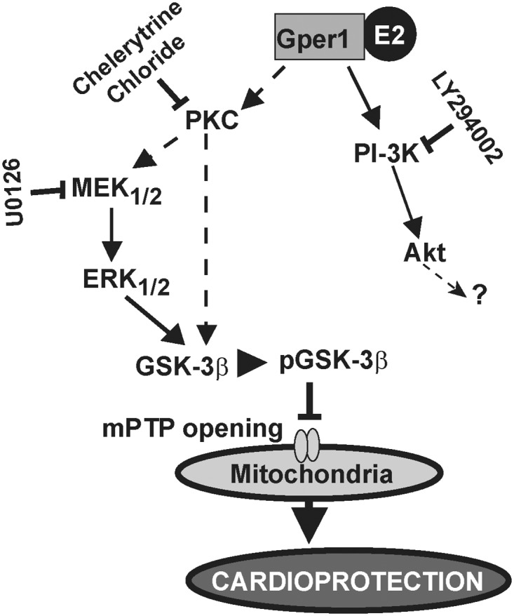 Fig 9