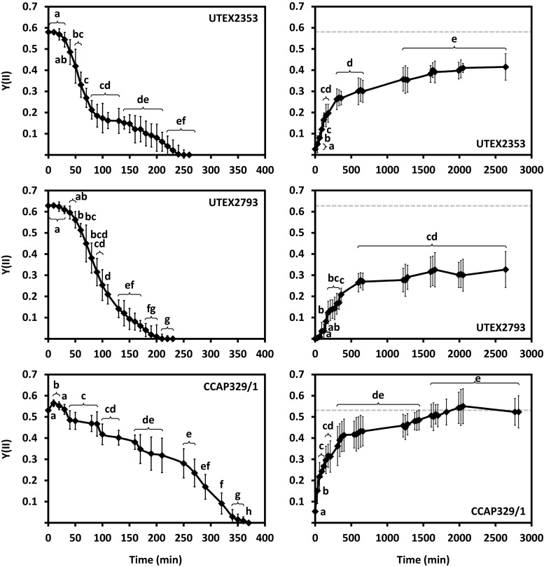 Fig. 10