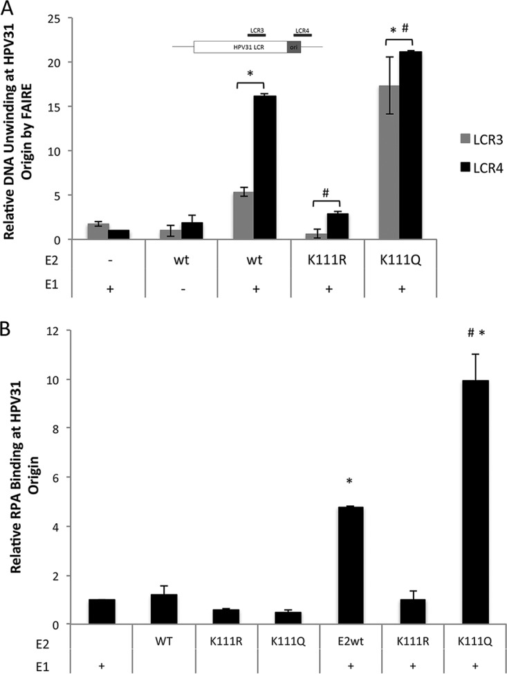 FIG 6