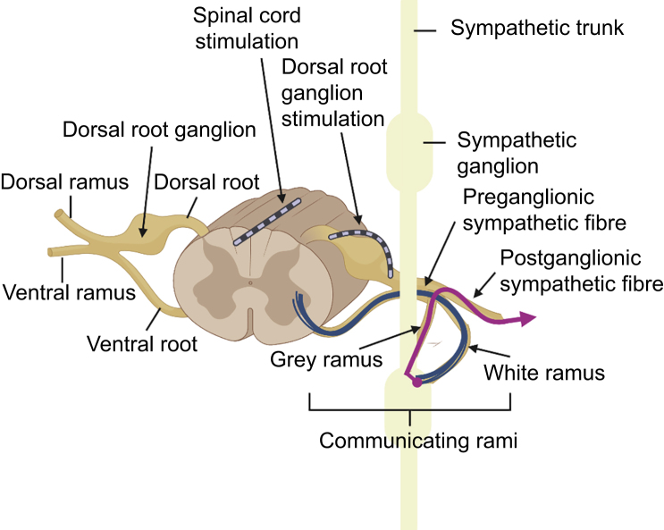 Fig. 2