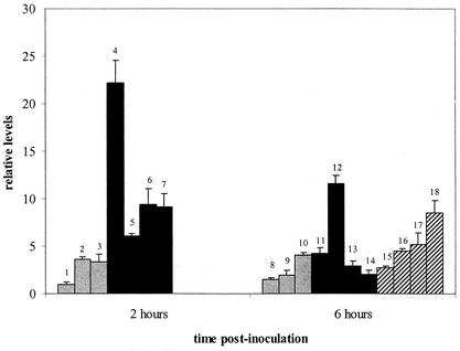 FIG. 3.