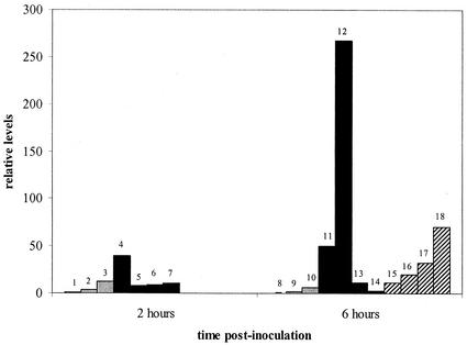 FIG. 2.