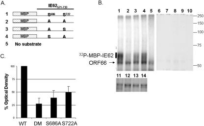 FIG. 9.