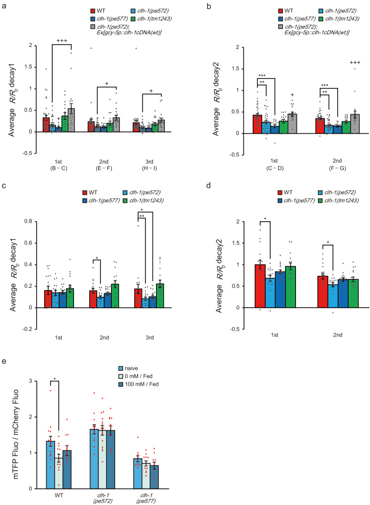 Figure 5—figure supplement 1.