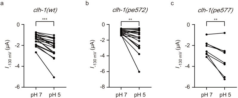 Figure 4—figure supplement 2.