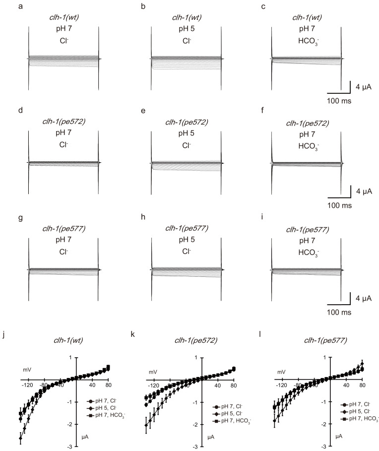 Figure 4—figure supplement 1.