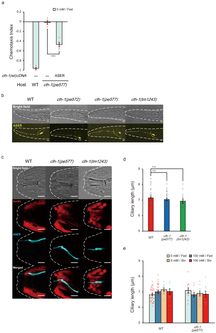 Figure 3—figure supplement 1.