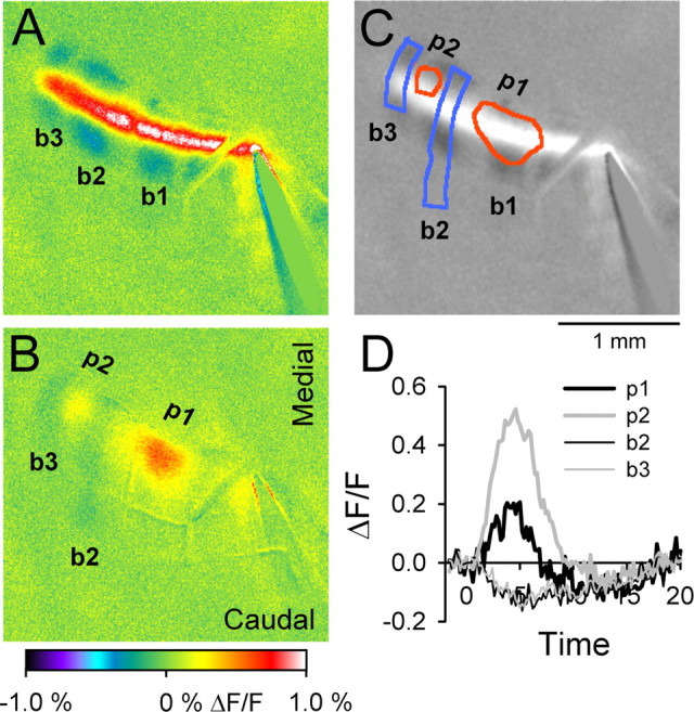 Figure 10.