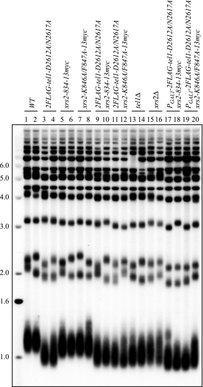 FIG. 6.