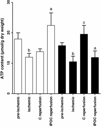 Fig. 4