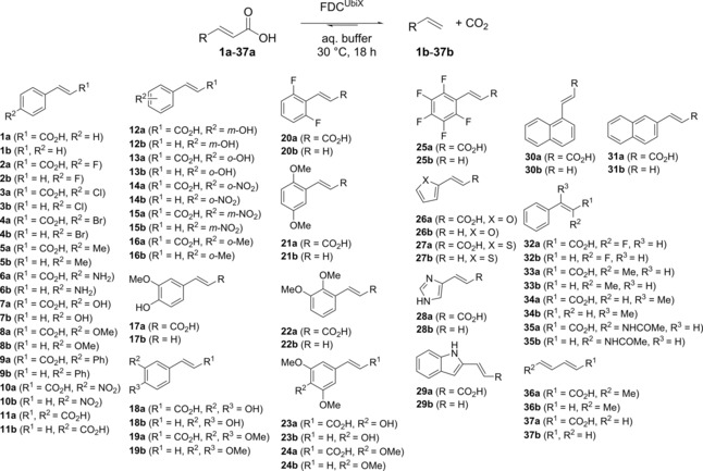 Scheme 2