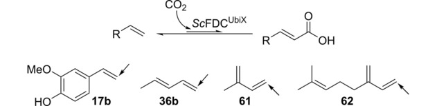 Scheme 3