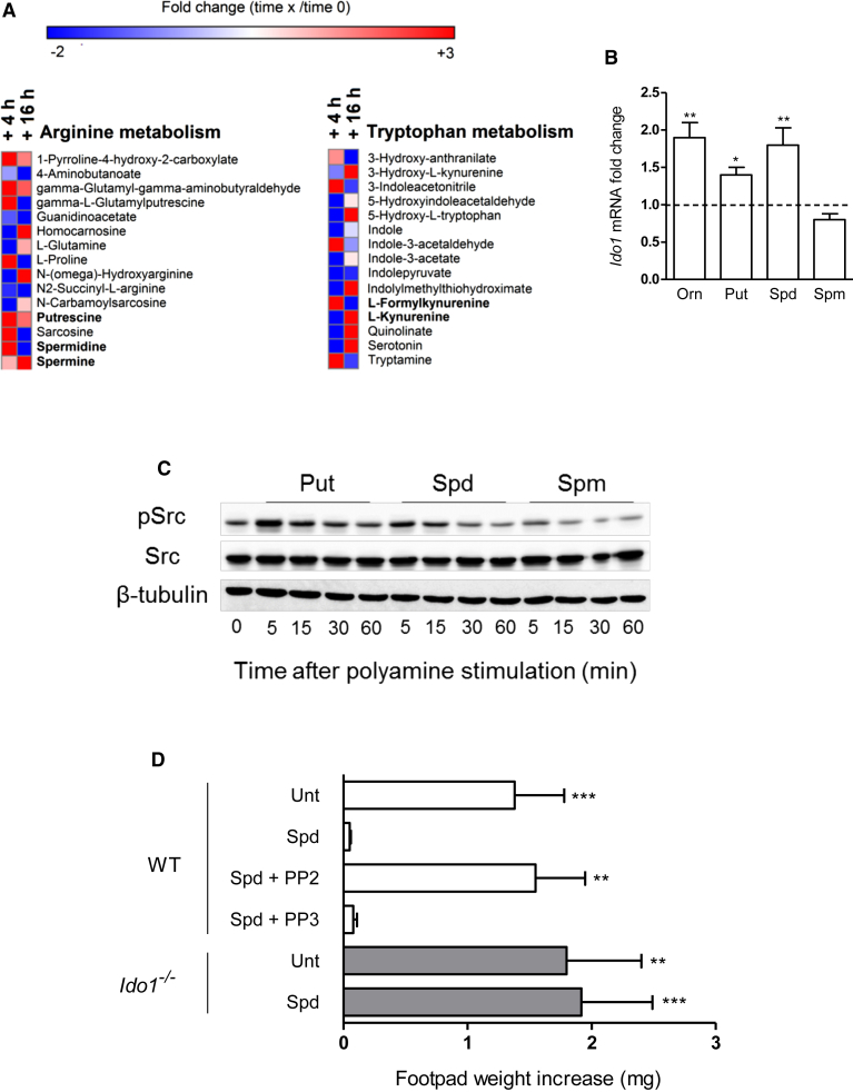 Figure 6