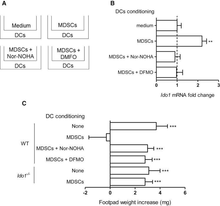 Figure 7