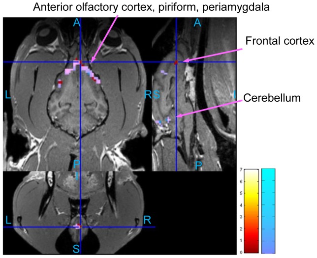 Figure 14