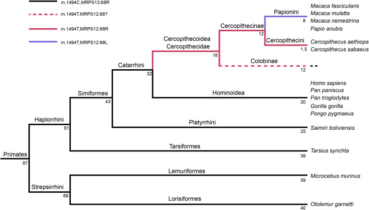 Figure 9