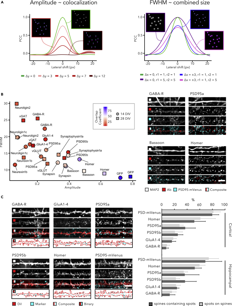 Figure 2