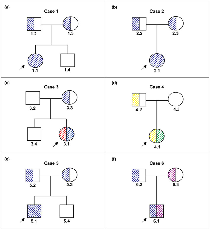 FIGURE 2