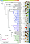 Fig. 1.