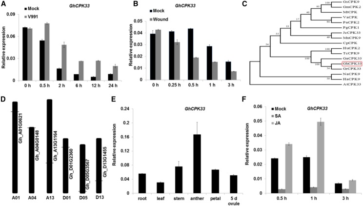 Figure 1.