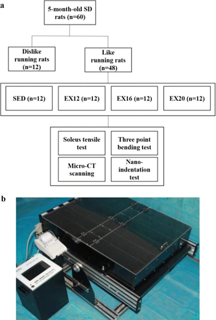 Fig. 3