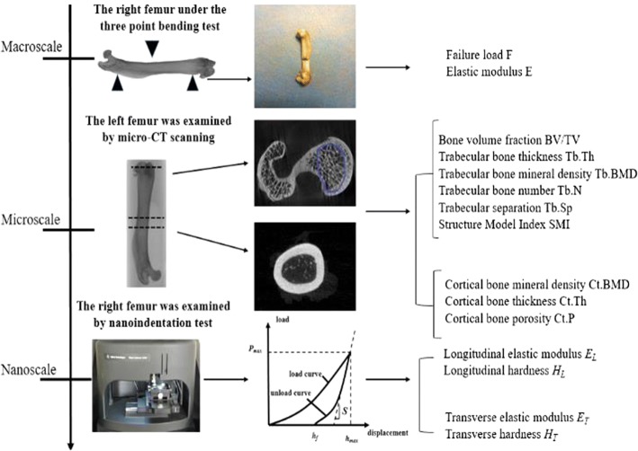 Fig. 4