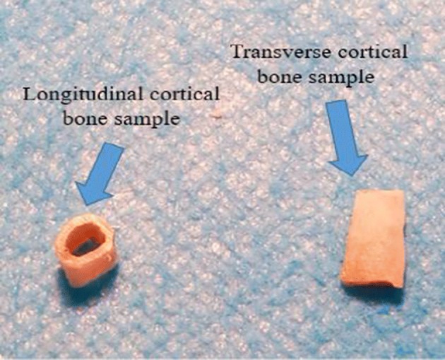 Fig. 7