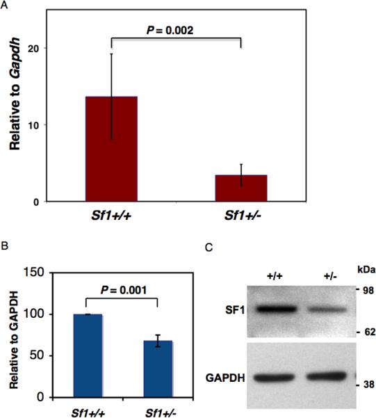 Fig.1