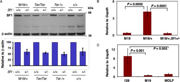 Fig.3