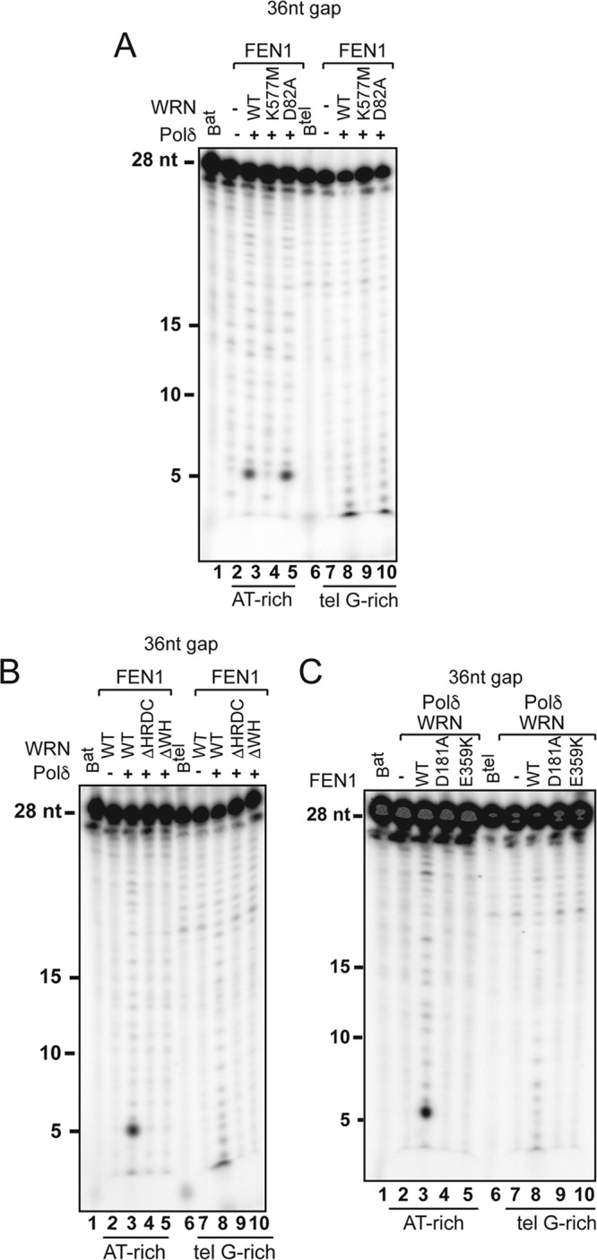 FIG 5