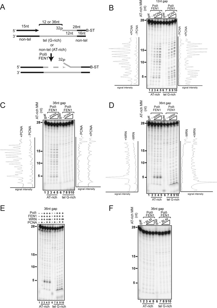 FIG 4