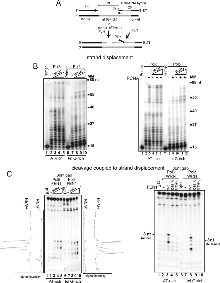 FIG 6