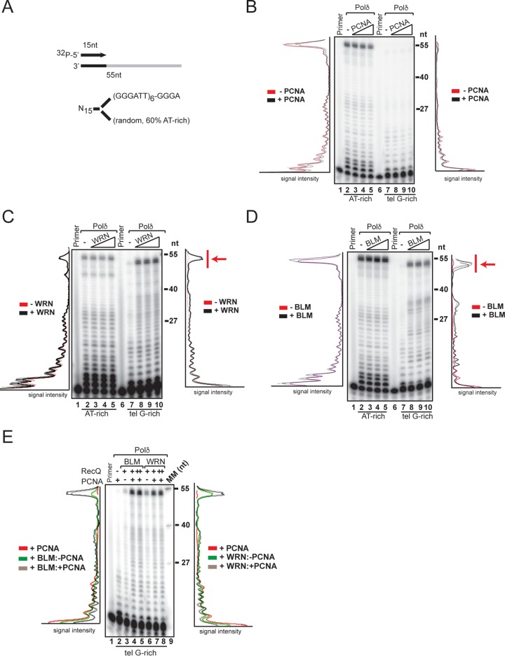 FIG 1