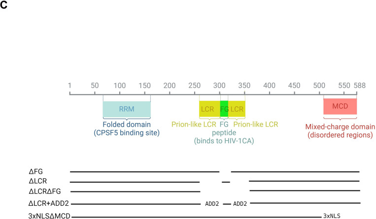 Figure 2.