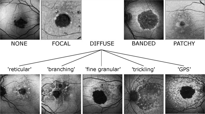 Fig. 5