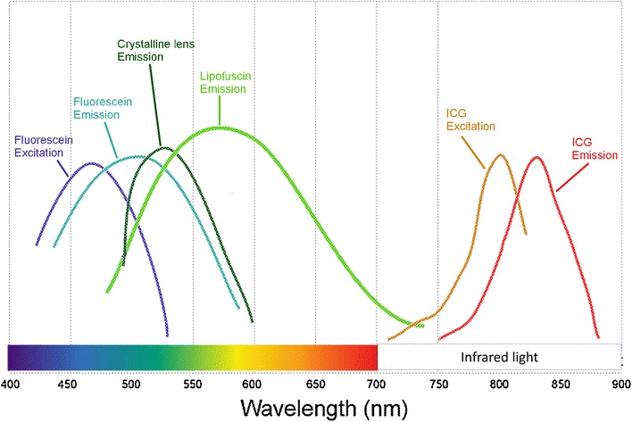 Fig. 1