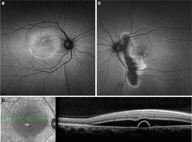 Fig. 8