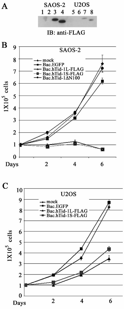 FIG. 7.