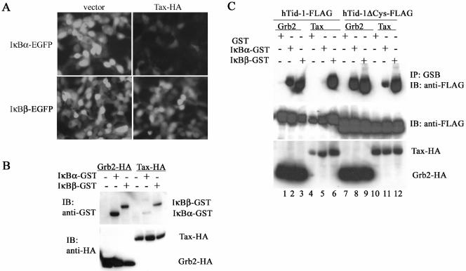 FIG. 6.