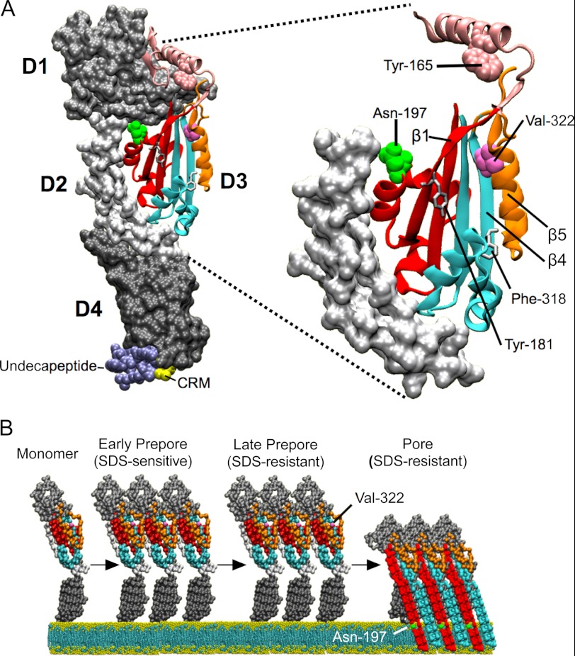 FIGURE 1.