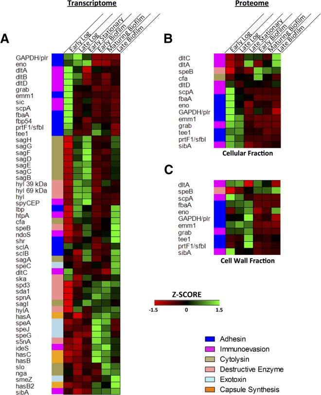 FIG 6 