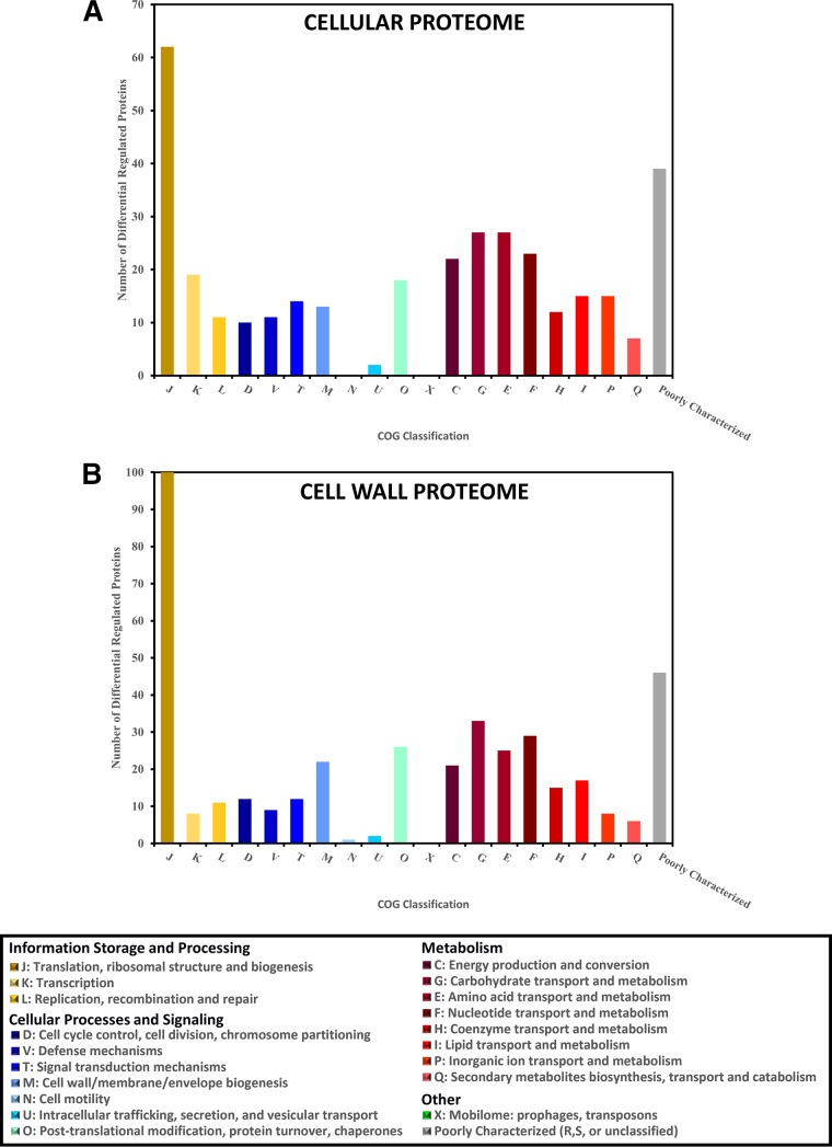 FIG 4 