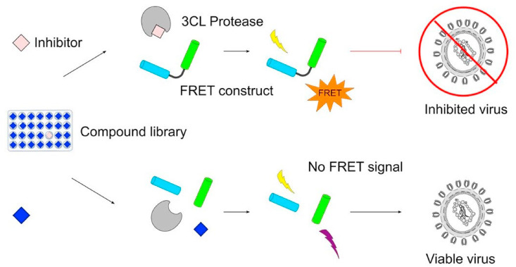 Fig. 14