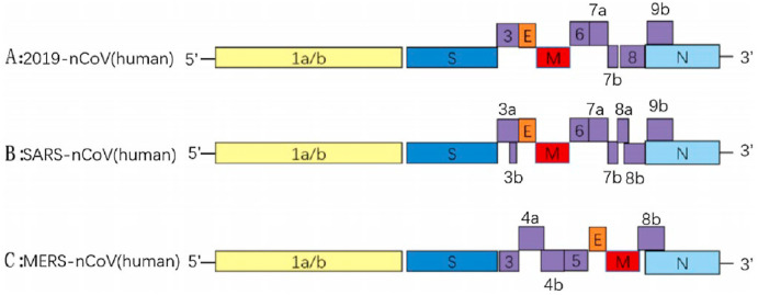 Fig. 3